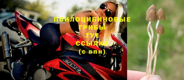 каннабис Алзамай