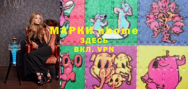 индика Алексин