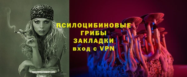 ешки Абаза