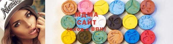 индика Алексин