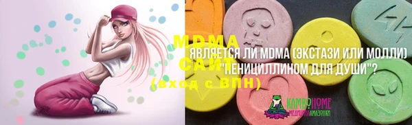 индика Алексин