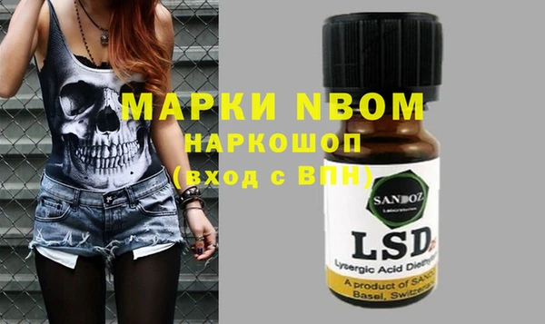 индика Алексин