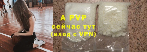индика Алексин